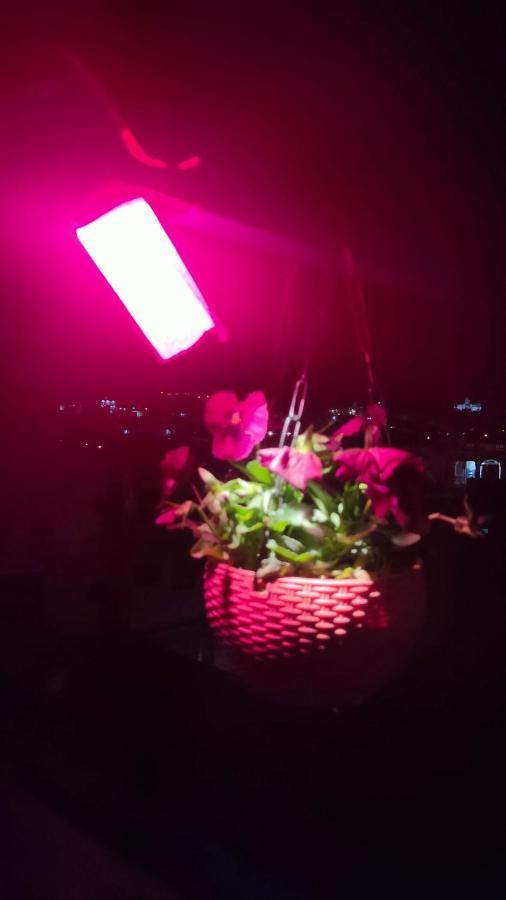Shivam Guest House Джодхпур Екстер'єр фото